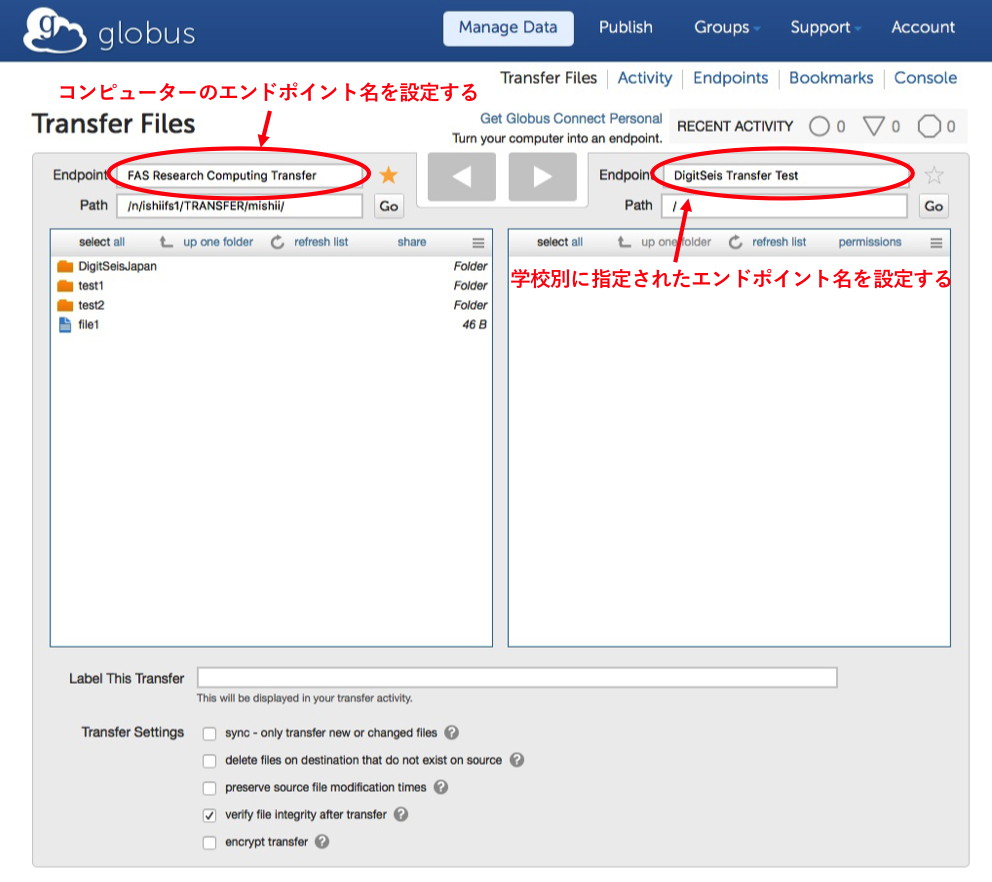 Globus Endpoints