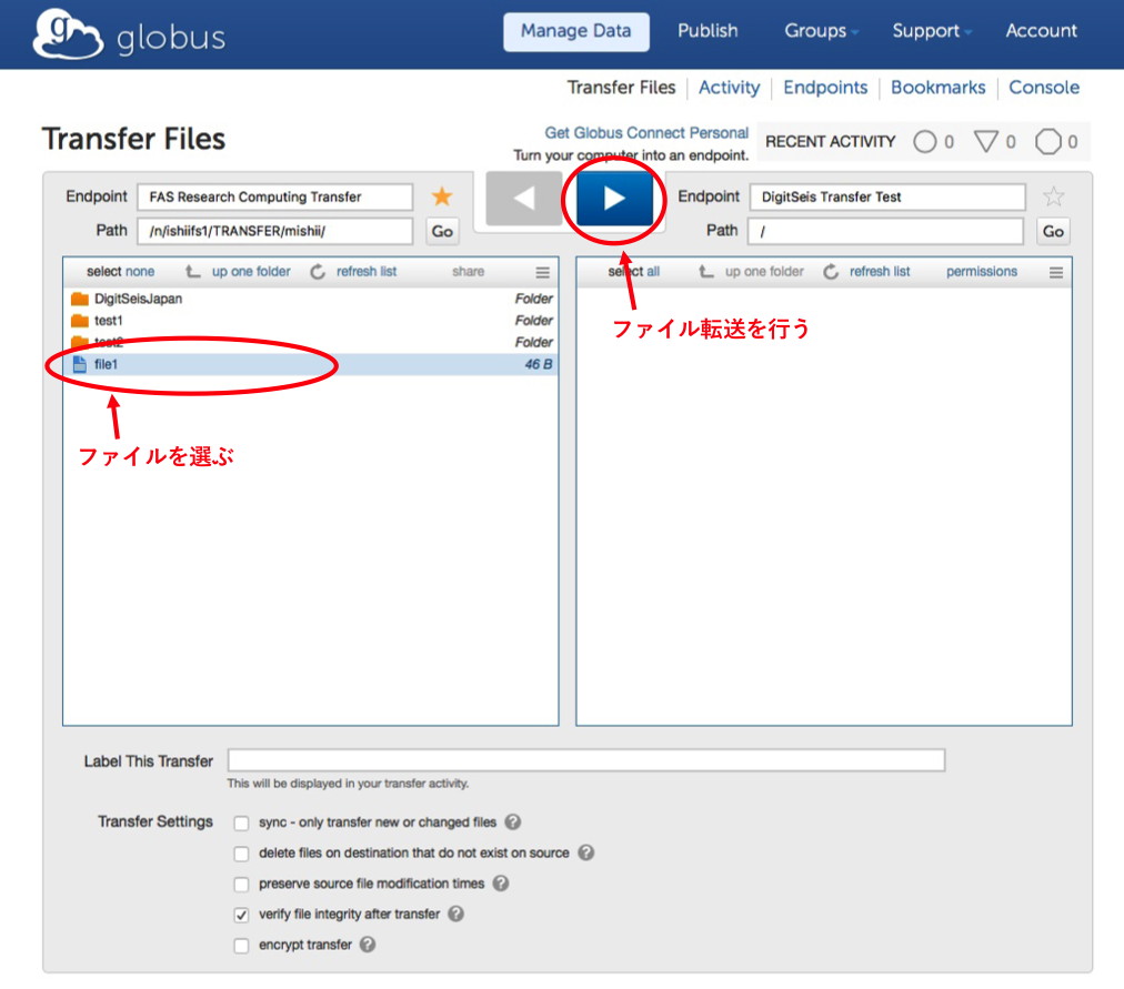 Globus Endpoints